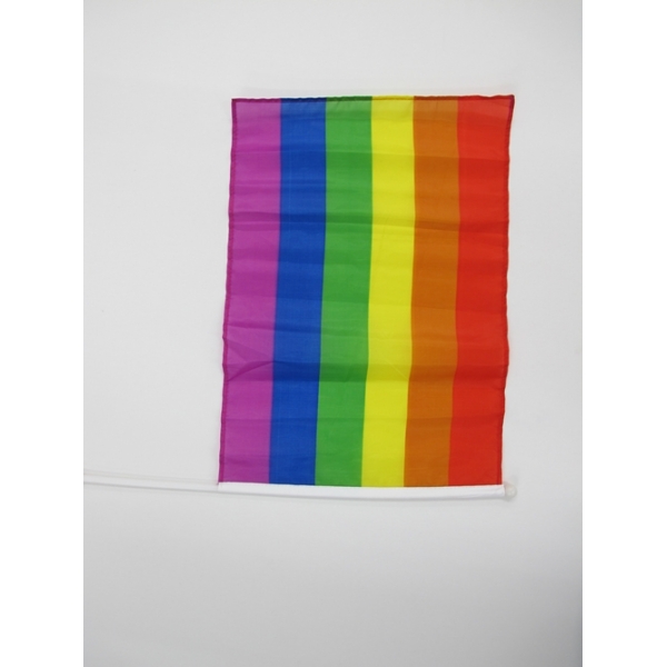 Small Rainbow Flag